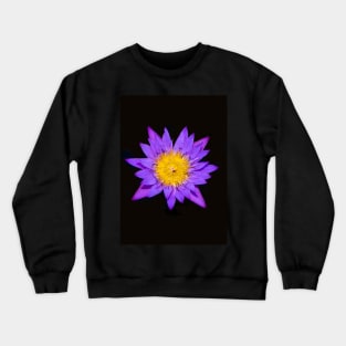 Flower Burst Crewneck Sweatshirt